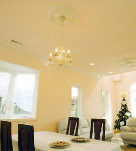 ���f���n�E�X���ē�